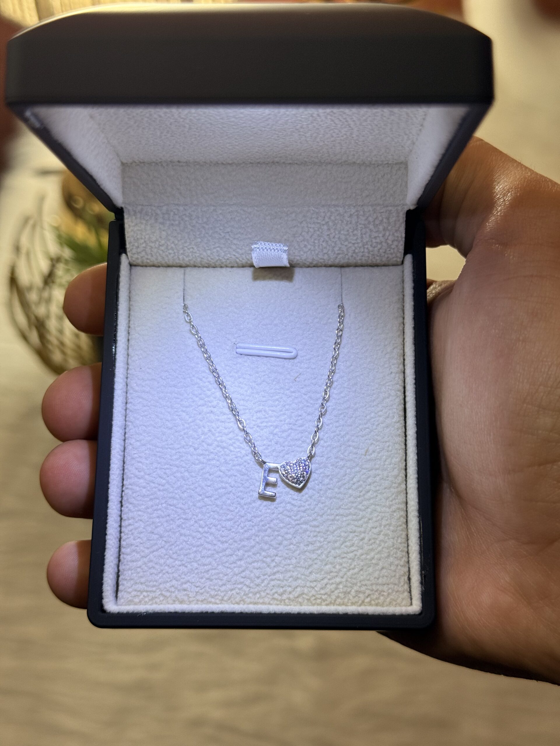2026_06_11_09_05_03_IMG_2279 Letter E Necklace with Heart – 925 Silver