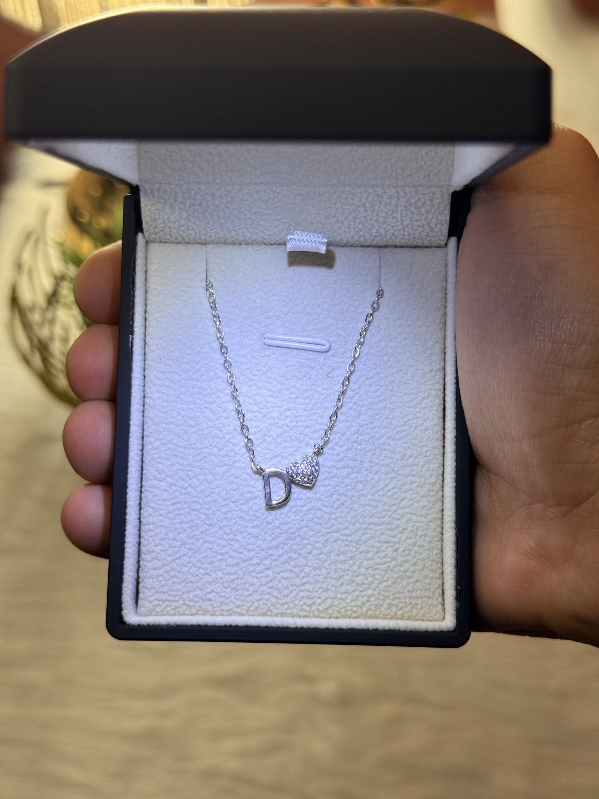 2026_06_11_09_05_39_IMG_2280 Letter D Necklace with Heart – 925 Silver