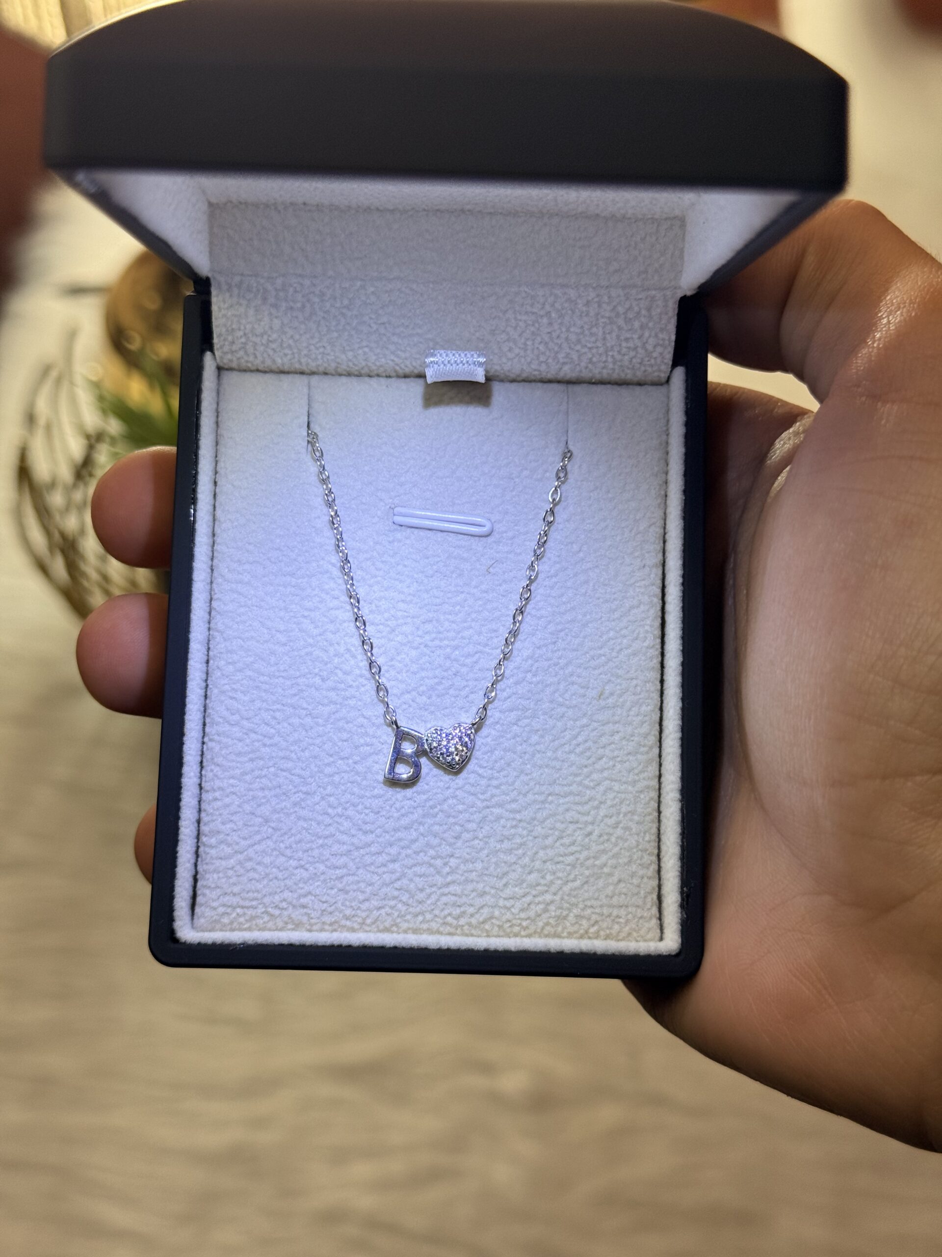 2026_06_11_09_06_15_IMG_2281 Letter B Necklace with Heart – 925 Silver