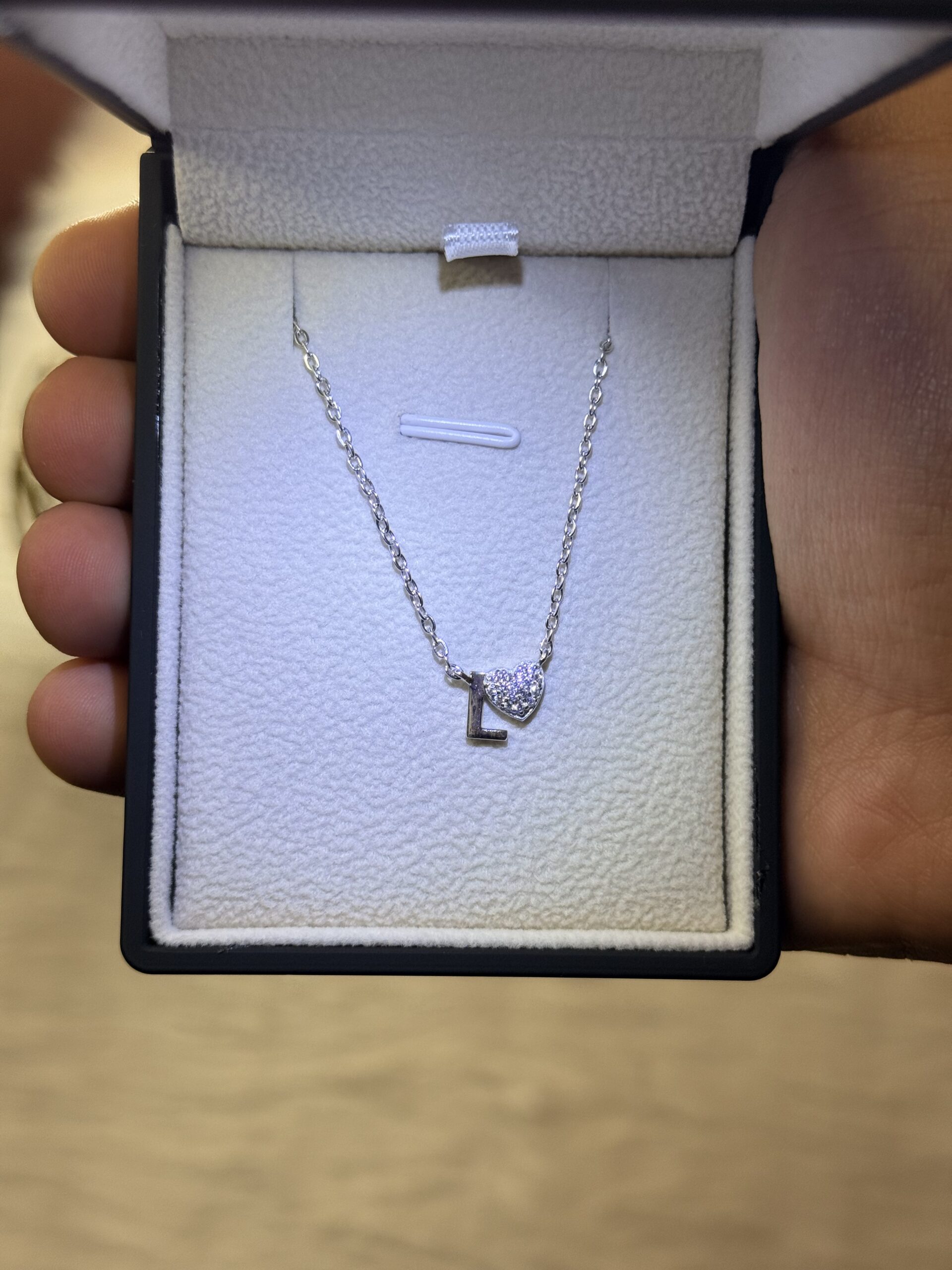 2026_06_11_09_10_18_IMG_2289 Letter L Necklace with Heart – 925 Silver