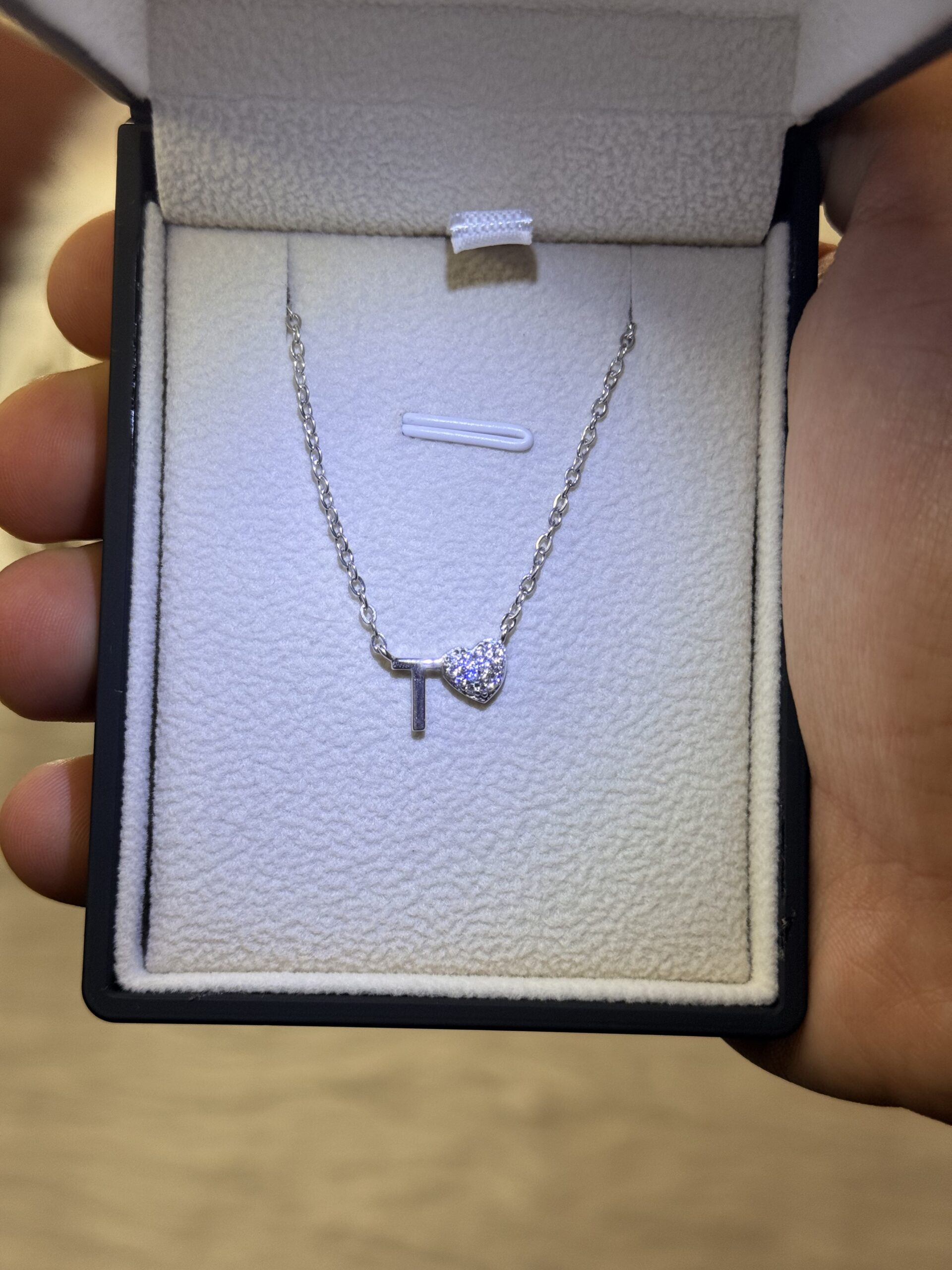 2026_06_11_09_11_34_IMG_2291 Letter T Necklace with Heart – 925 Silver