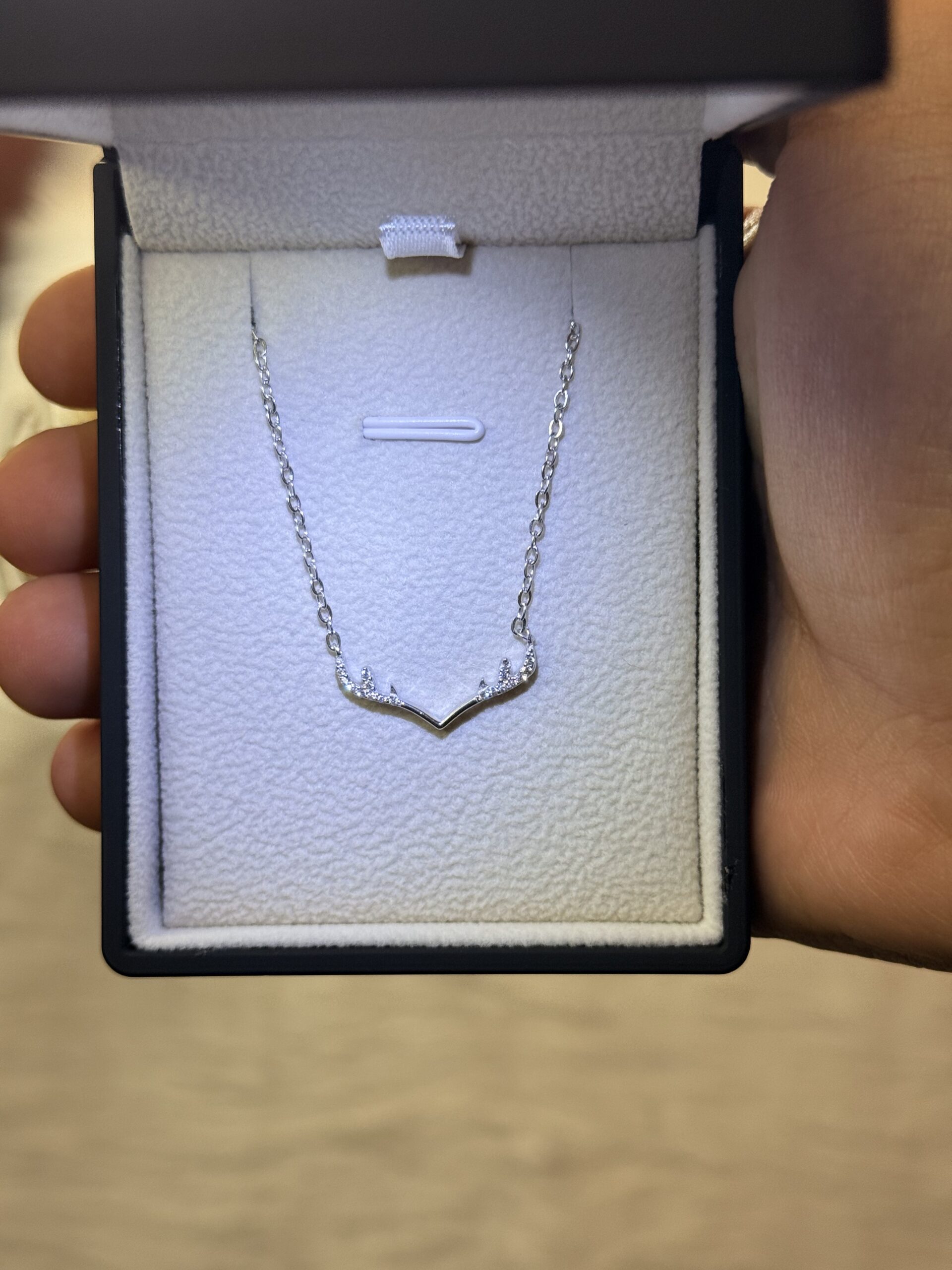 2026_06_11_09_36_36_IMG_2309 Deer Antlers Necklace – 925 Silver