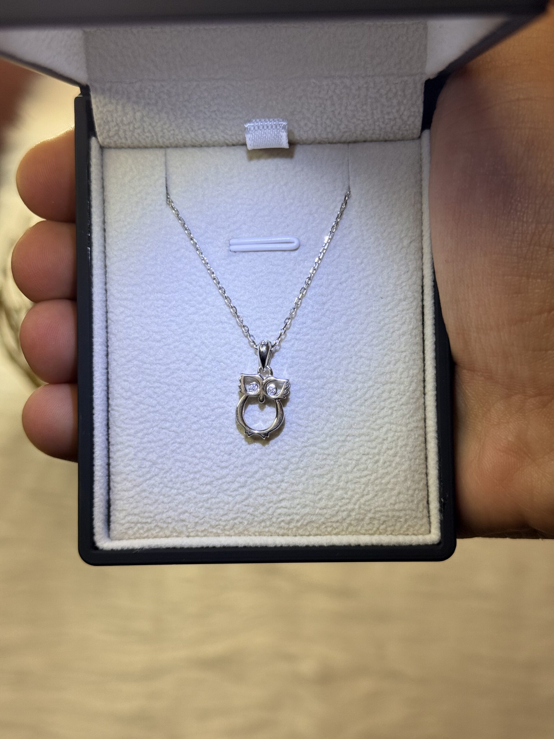 2026_06_11_09_38_06_IMG_2312 Owl Necklace – 925 Silver