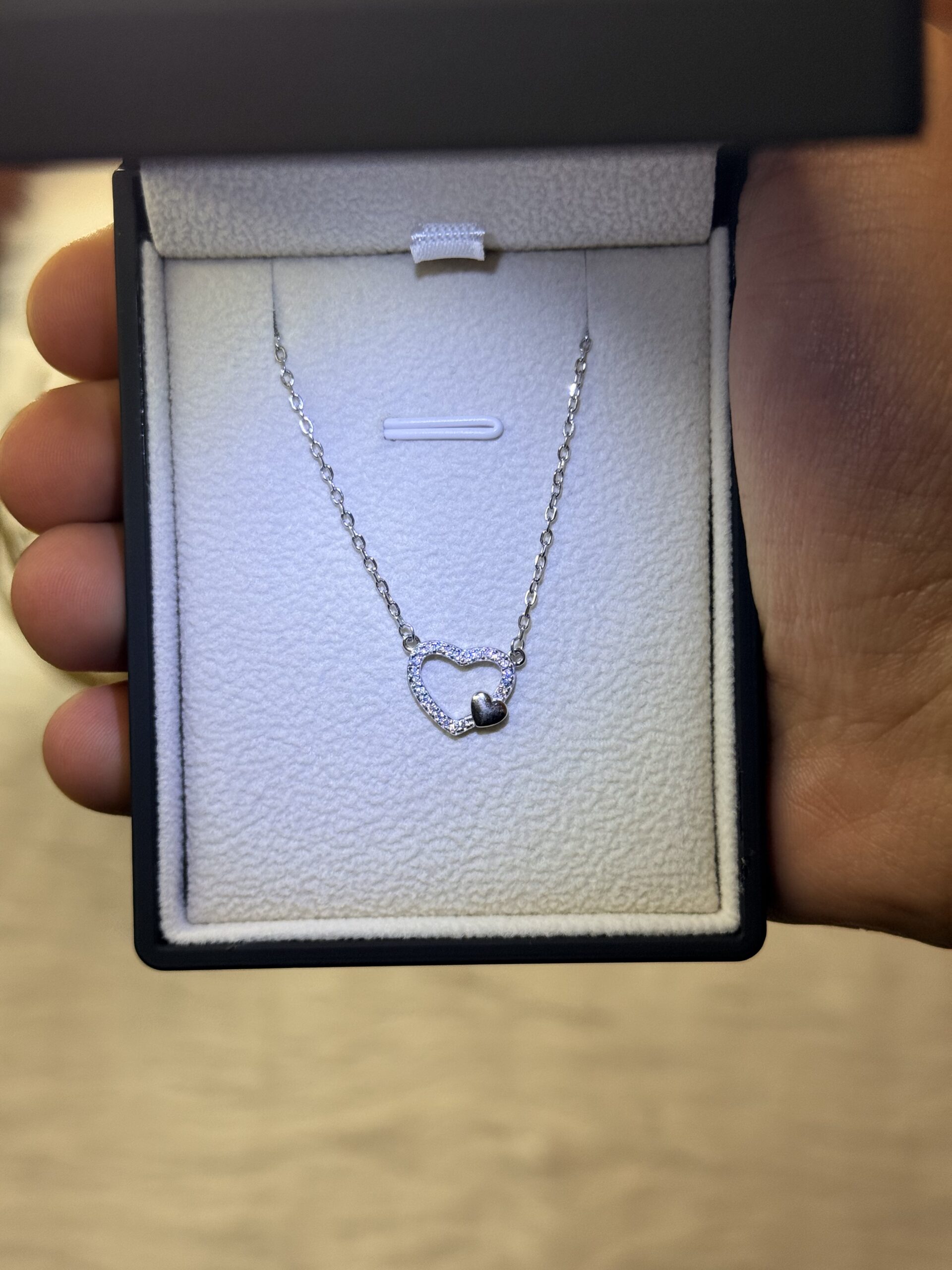 2026_06_11_09_58_04_IMG_2326 Simple Chic Heart Necklace – 925 Silver